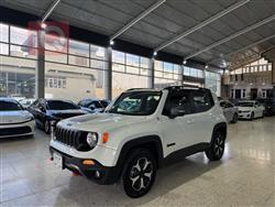 جيب رينيجيد